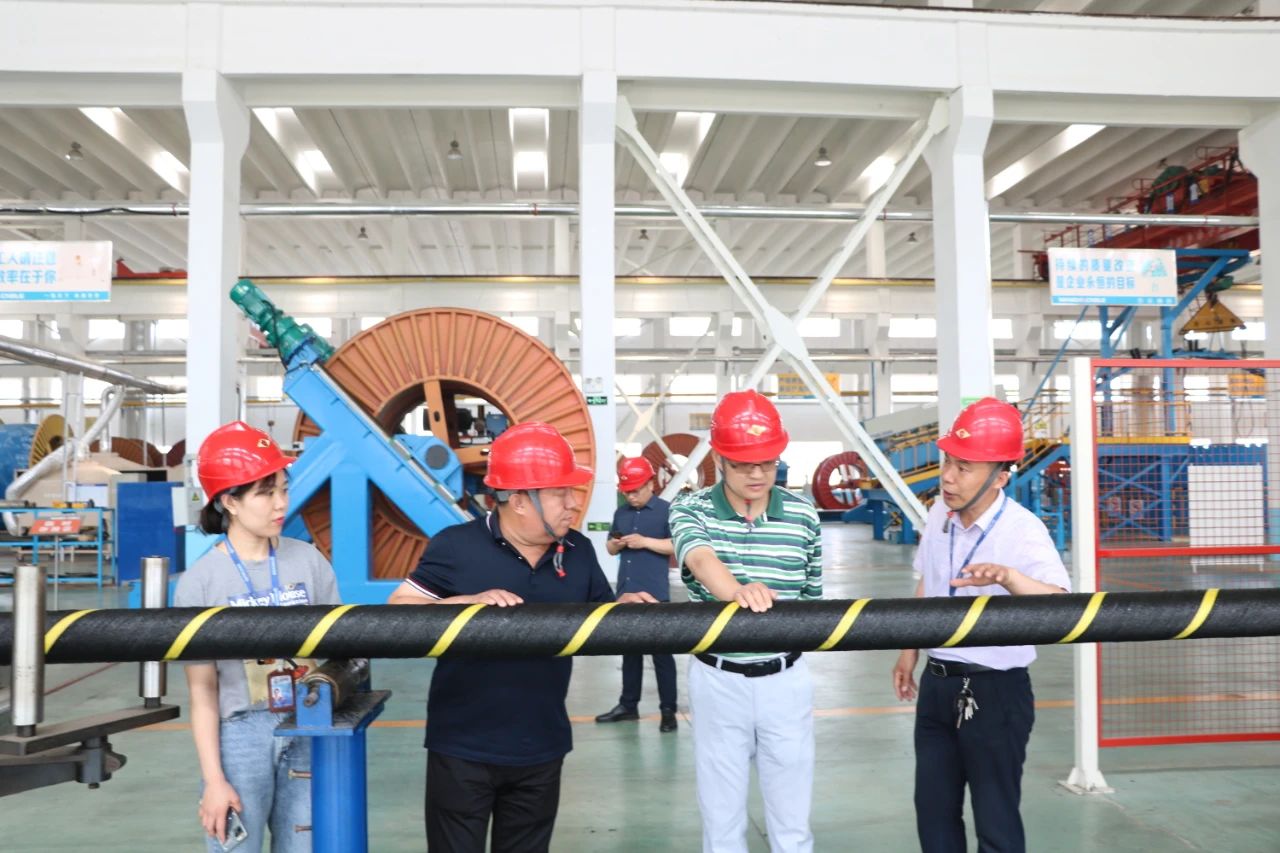 微信图片_20200709081414.jpg 通宝TB888